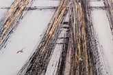 rucne-malovany-obraz-CWF1099WE1.jpg-1